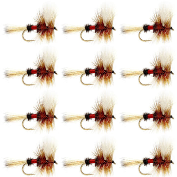 Royal Wulff Classic Trout Dry Fly Fishing Flies - Set of 12 Flies Size 14 - One Dozen - Hazy Fly Fishing