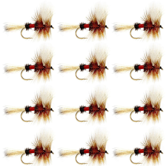 Royal Wulff Classic Trout Dry Fly Fishing Flies - Set of 12 Flies Size 16 - One Dozen - Hazy Fly Fishing