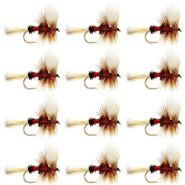 Royal Wulff Classic Trout Dry Fly Fishing Flies - Set of 12 Flies Size 16 - One Dozen - Hazy Fly Fishing