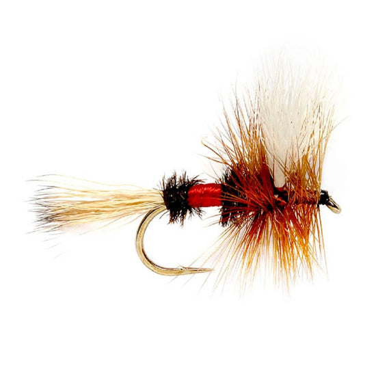 Royal Wulff Classic Trout Dry Fly Fishing Flies - Set of 12 Flies Size 16 - One Dozen - Hazy Fly Fishing