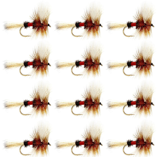 Royal Wulff Classic Trout Dry Fly Fishing Flies - Set of 12 Flies Size 8 - One Dozen - Hazy Fly Fishing