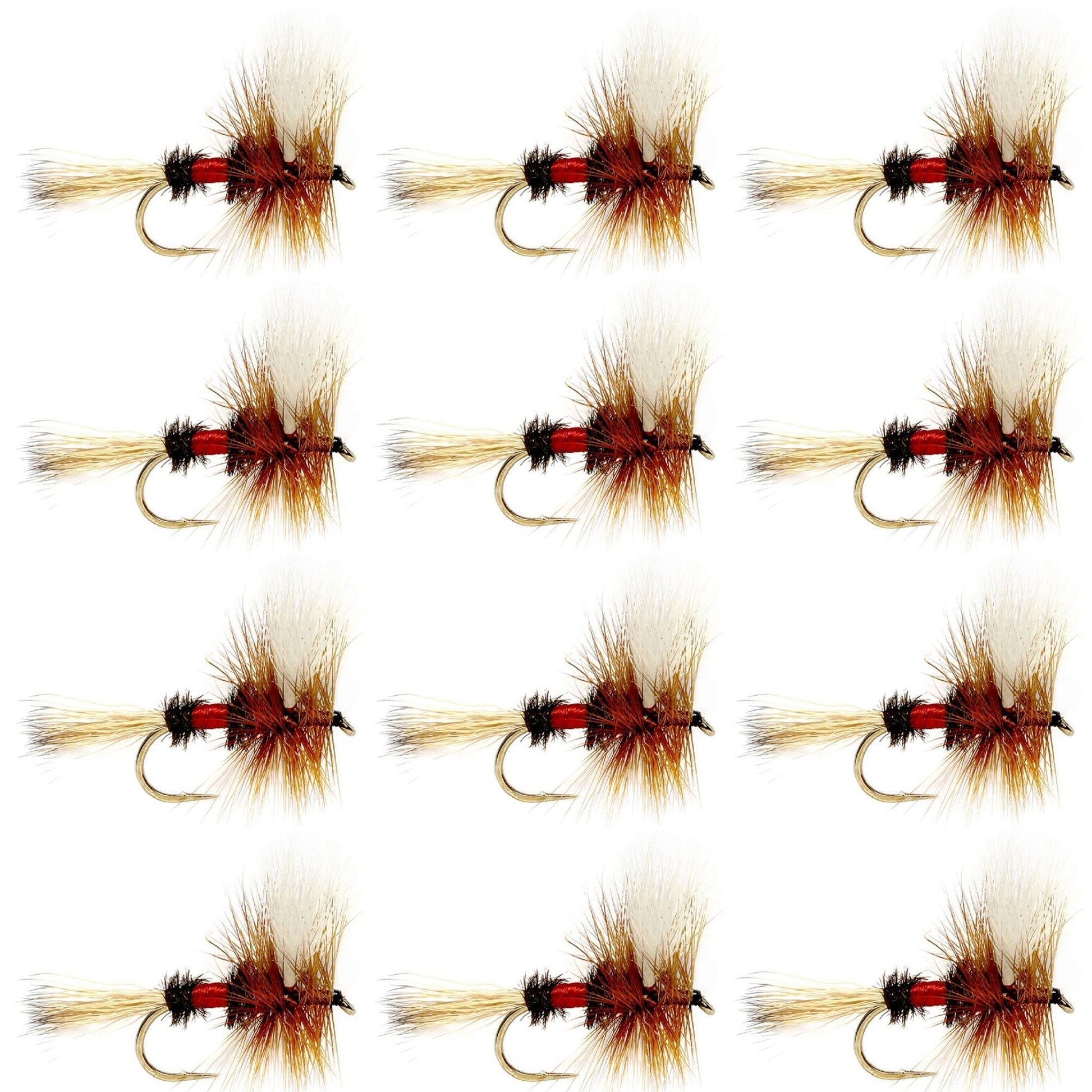 Royal Wulff Classic Trout Dry Fly Fishing Flies - Set of 12 Flies Size 8 - One Dozen - Hazy Fly Fishing
