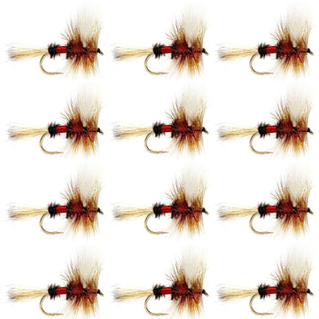 Royal Wulff Classic Trout Dry Fly Fishing Flies - Set of 12 Flies Size 8 - One Dozen - Hazy Fly Fishing