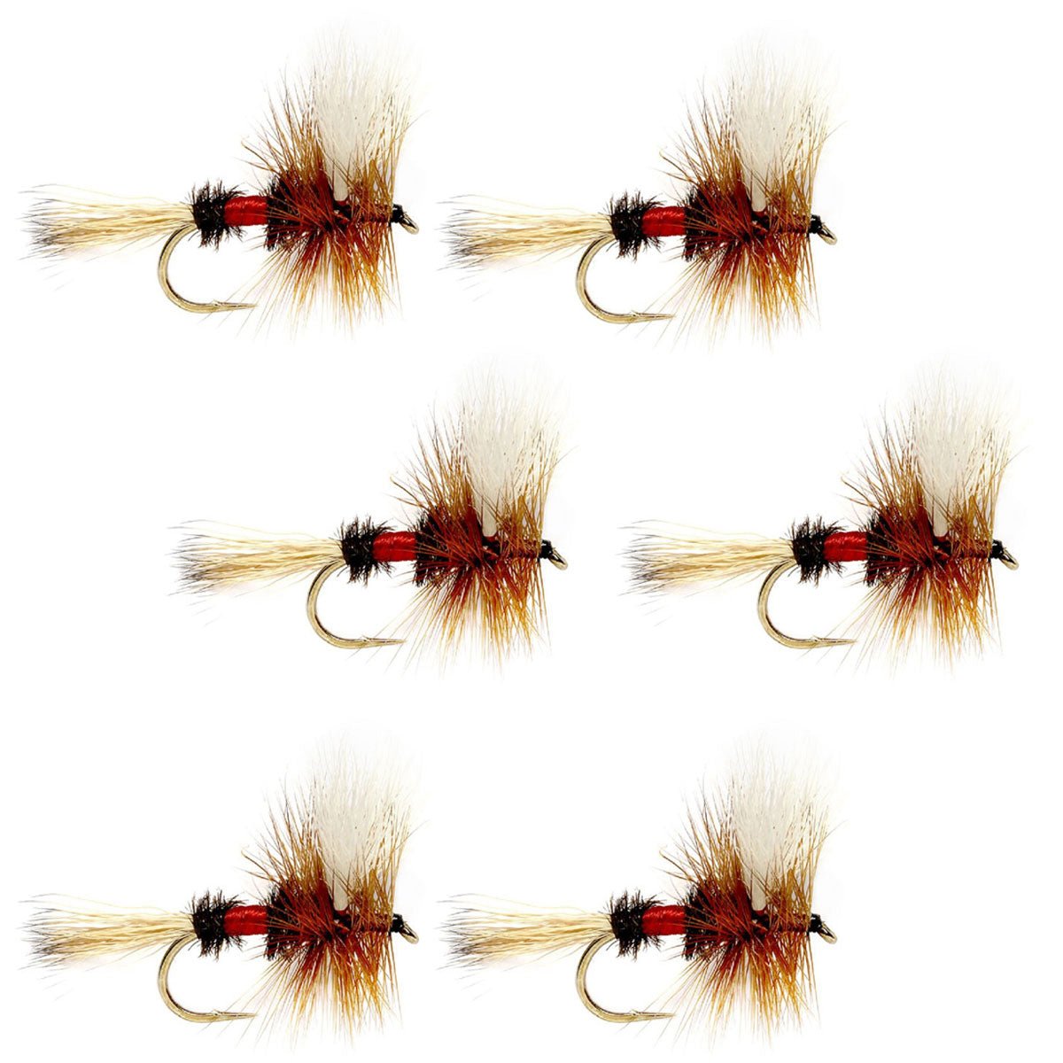 Royal Wulff Classic Trout Dry Fly Fishing Flies - Set of 6 Flies Size 10 - Hazy Fly Fishing