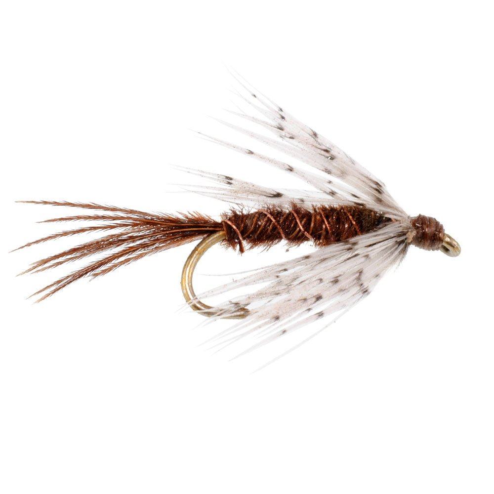 Soft Hackle Partridge and Pheasant Tail Fly Fishing Wet Flies - 6 Flies Hook Size 12 - Hazy Fly Fishing
