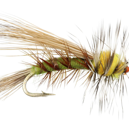 Stimulator Fly, Size 12 | Olive | Qty. 6 | Wild Water Fly Fishing - Hazy Fly Fishing