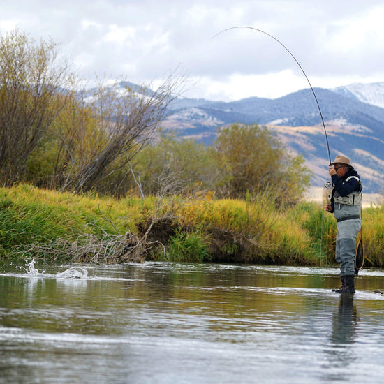 Tactical Czech Nymph Fly Fishing Flies Collection - One Dozen Tungsten Bead Euro Nymphing Fly Assortment - 2 Each of 6 Patterns - Hook Sizes 12, 14 and 16 - Hazy Fly Fishing