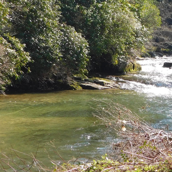 Tan X Caddis Emerging Caddis Adult Trout Dry Fly - 1 Dozen Flies Hook Size 16 - Hazy Fly Fishing