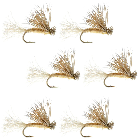 Tan X Caddis Emerging Caddis Adult Trout Dry Fly - 6 Flies Hook Size 14 - Hazy Fly Fishing