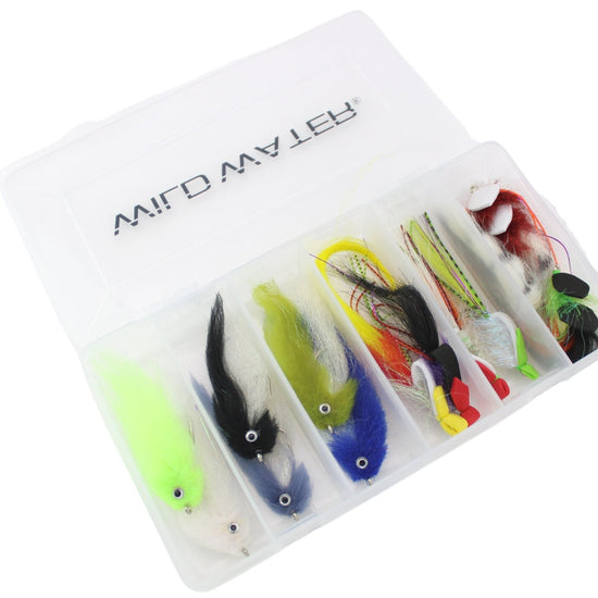 Top Water Baitfish Fly Assortment, 12 Saltwater Flies | Fly Box | Wild Water Fly Fishing - Hazy Fly Fishing