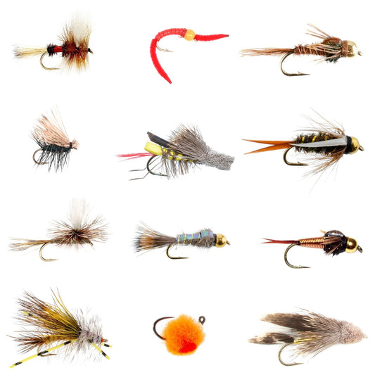 Trout Flies Assortment - 12 Flies for Trout Fly Fishing with Fly Box - Essential Dry and Wet Fly Selection - Hazy Fly Fishing