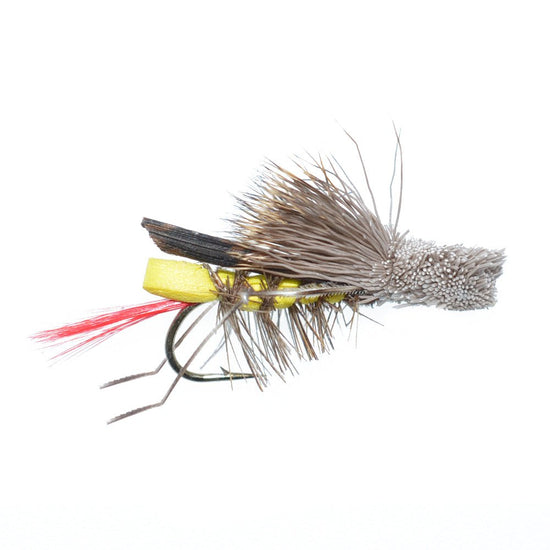 Trout Fly Assortment - Essential Western Dry and Nymph Fly Fishing Flies Collection - 2 Dozen Trout Flies with Fly Box - Hazy Fly Fishing