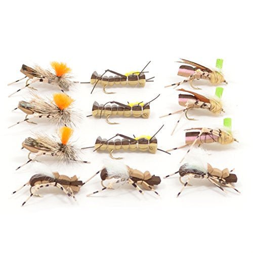 Trout Fly Assortment - Foam Body High Visibility Grasshopper Dry Fly Collection - Hazy Fly Fishing