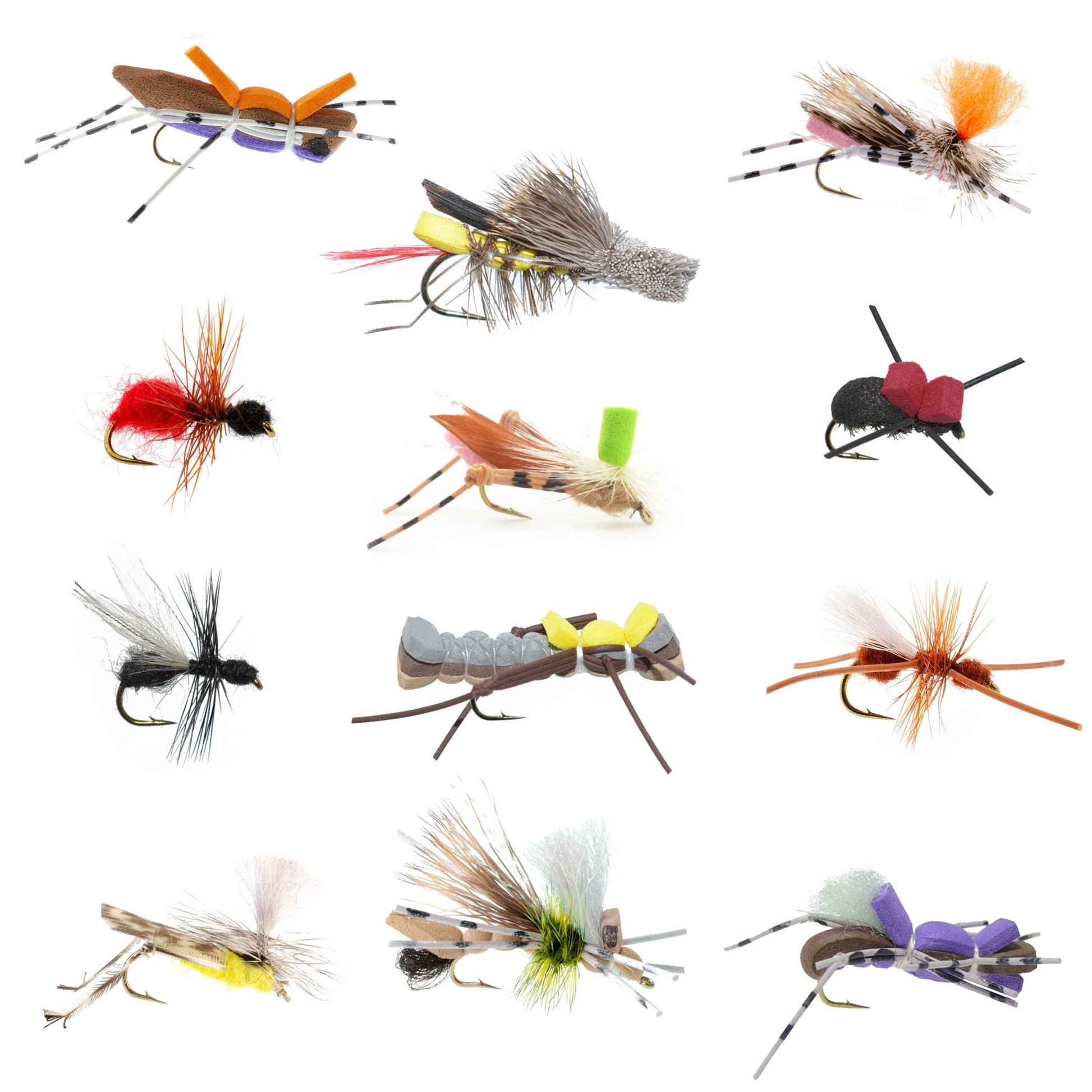 Trout Fly Assortment - Premium Terrestrial Flies - 12 Essential Hoppers, Ants and Beetles with Fly Box - Hazy Fly Fishing