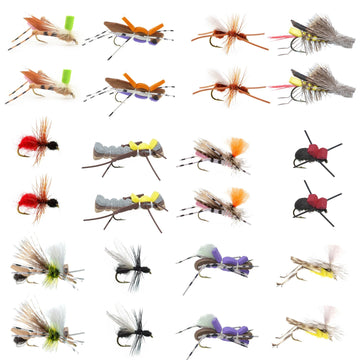 Trout Fly Assortment - Premium Terrestrial Flies - 24 Essential Hoppers, Ants and Beetles with Fly Box - Hazy Fly Fishing