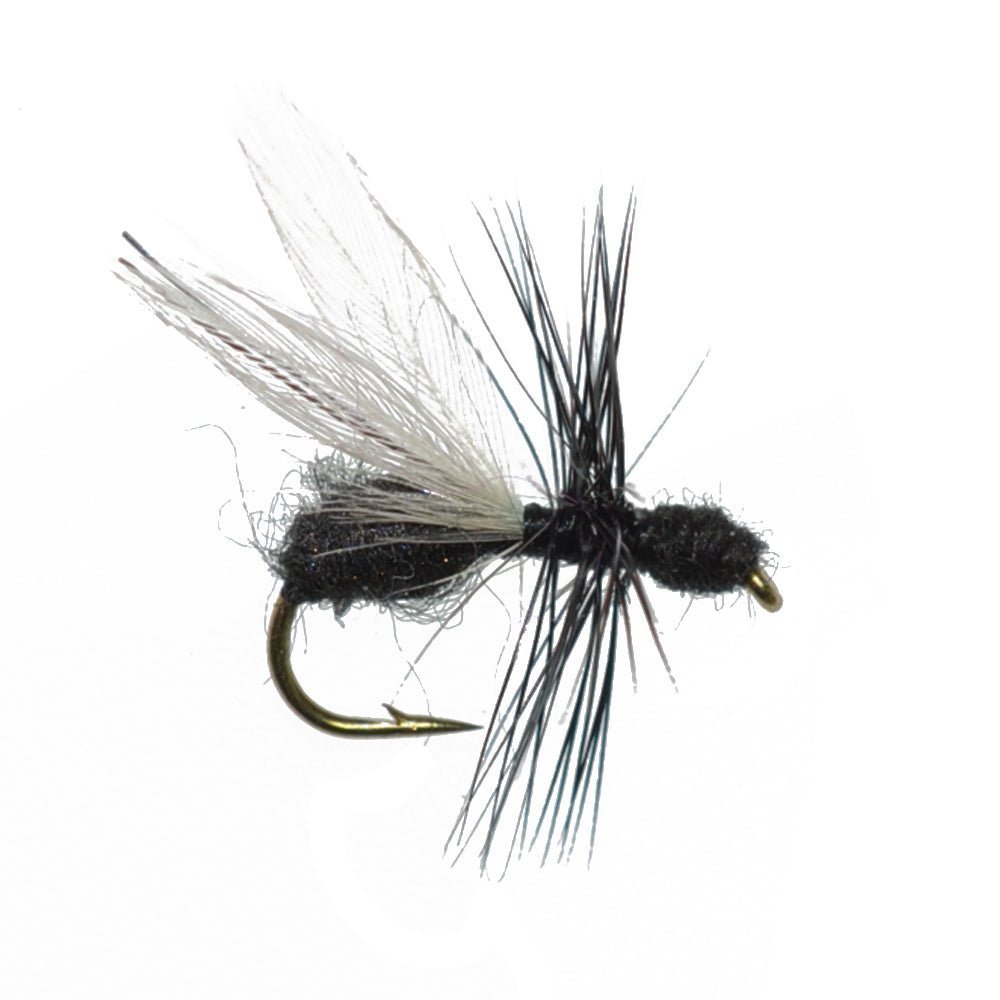 Trout Fly Assortment - Premium Terrestrial Flies - 24 Essential Hoppers, Ants and Beetles with Fly Box - Hazy Fly Fishing