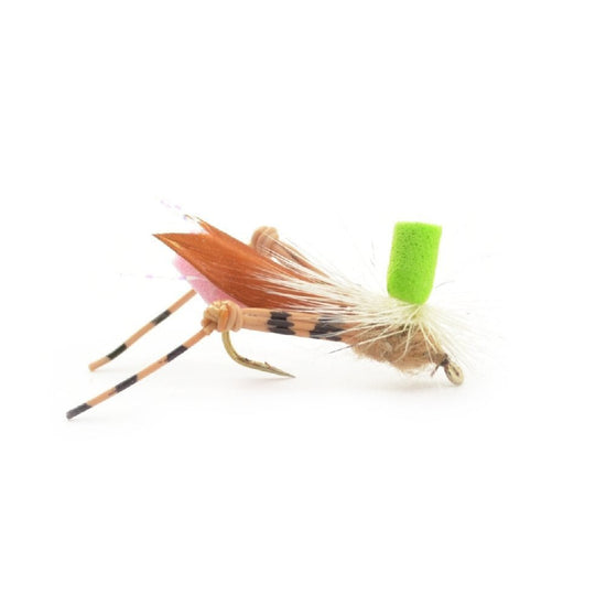 Trout Fly Assortment - Premium Terrestrial Flies - 24 Essential Hoppers, Ants and Beetles with Fly Box - Hazy Fly Fishing
