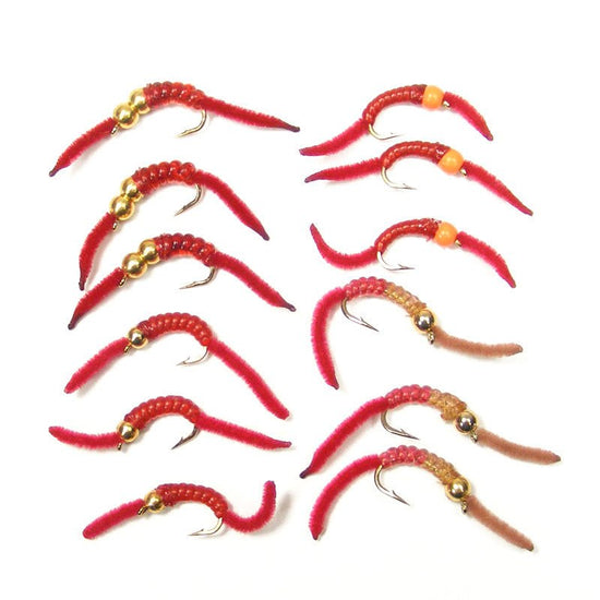 Trout Fly Assortment - San Juan Worm Power Bead 1 Dozen Wet Nymph Fly Fishing Flies - Hook Size 10 - 3 Each of 4 Patterns - Hazy Fly Fishing