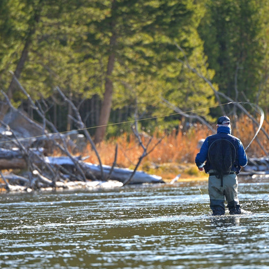 Tungsten Bead Black Perdigon Tactical Jig Czech Euro Nymph Spanish Nymphing Fly - 1 Dozen Flies Size 16 - Hazy Fly Fishing