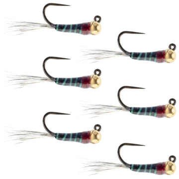 Tungsten Bead Black Perdigon Tactical Jig Czech Euro Nymph Spanish Nymphing Fly - 6 Flies Size 14 - Hazy Fly Fishing