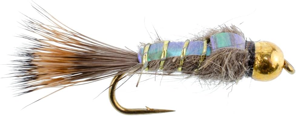 Tungsten Bead Flashback Gold Ribbed Hare's Ear Trout Fly 1 Dozen Nymph Wet Flies Size 10 - Hazy Fly Fishing
