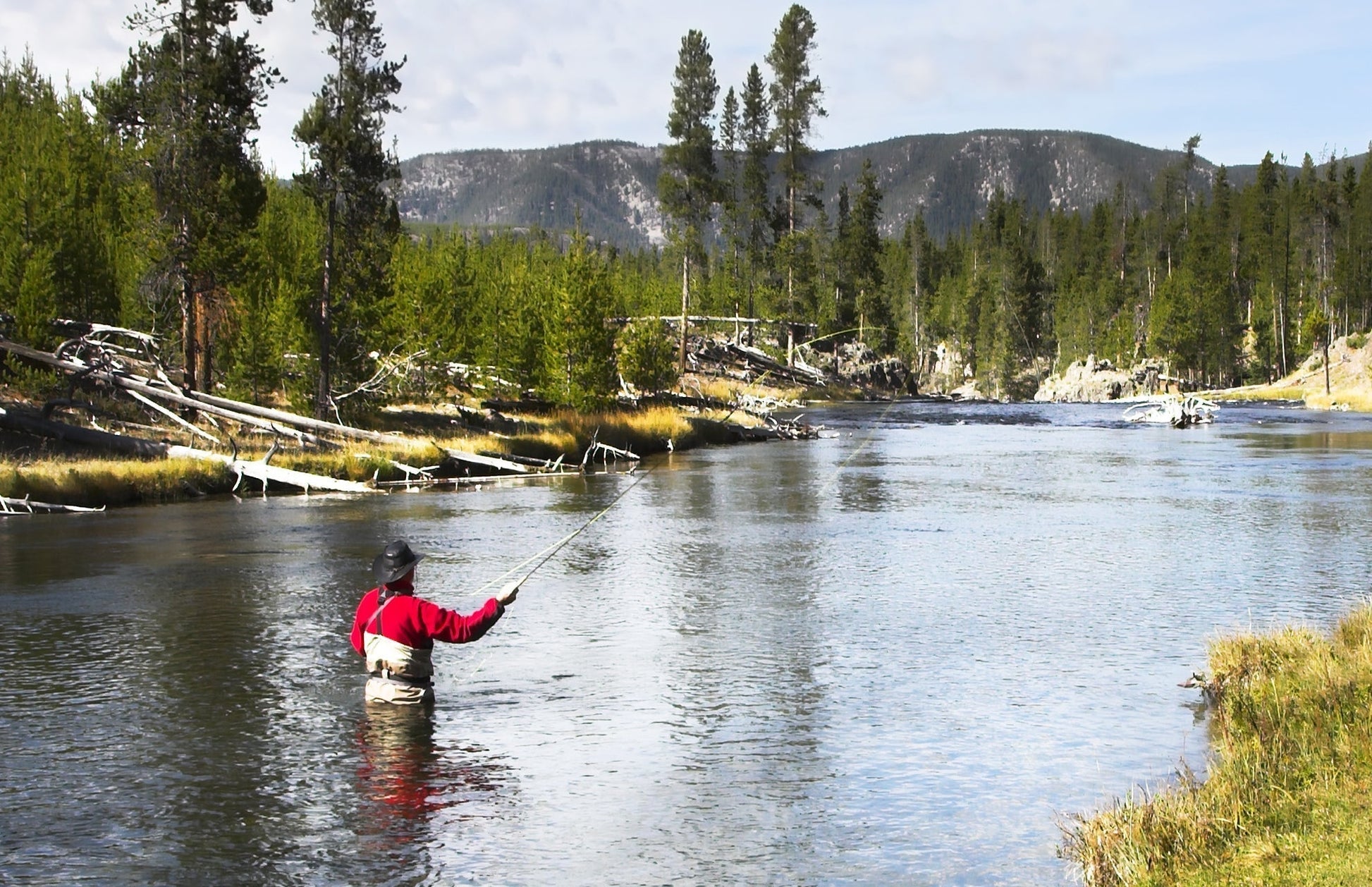 Tungsten Bead Head Chartreuse Copper John Nymph Fly Fishing Flies - Set of 6 Flies Hook Size 12 - Hazy Fly Fishing