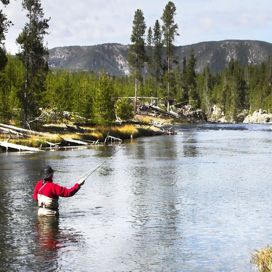 Tungsten Bead Head Chartreuse Copper John Nymph Fly Fishing Flies - Set of 6 Flies Hook Size 18 - Hazy Fly Fishing