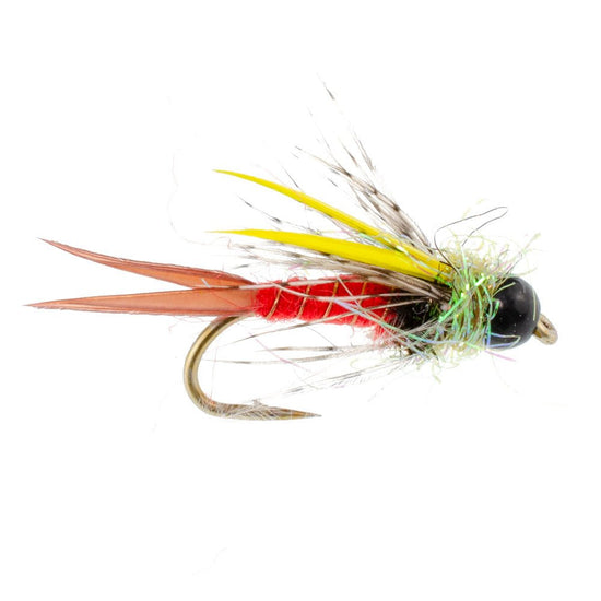 Tungsten Bead Head Nicks Prince Special Nymph Fly Fishing Flies - Set of 6 Flies Hook Size 10 - Hazy Fly Fishing