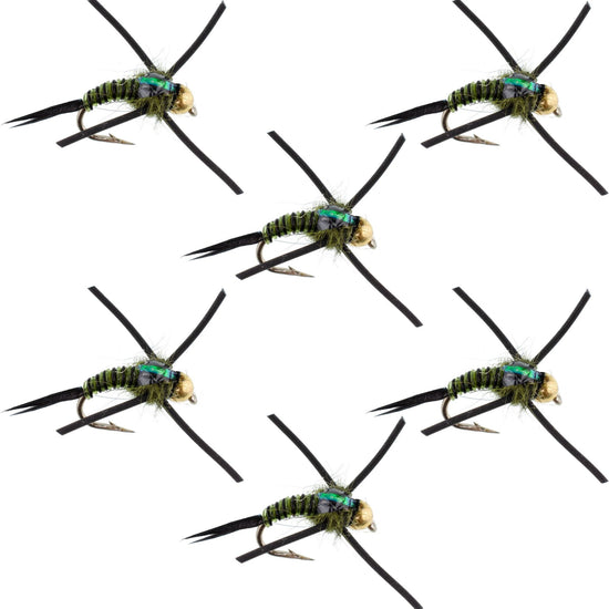 Tungsten Bead Head Rubber Legs Black Olive Zebra Copper John Nymph Fly Fishing Flies - Set of 6 Flies Hook Size 12 - Hazy Fly Fishing