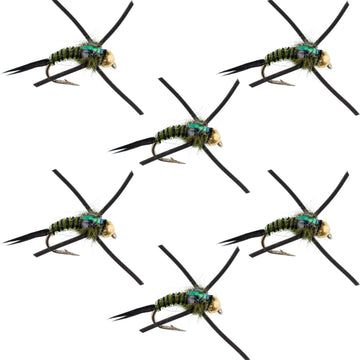 Tungsten Bead Head Rubber Legs Black Olive Zebra Copper John Nymph Fly Fishing Flies - Set of 6 Flies Hook Size 12 - Hazy Fly Fishing