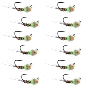 Tungsten Bead Hot Spot Pheasant Tail Tactical Jig Chartreuse Czech Nymph Euro Nymphing Fly - 1 Dozen Flies Size 16 - Hazy Fly Fishing