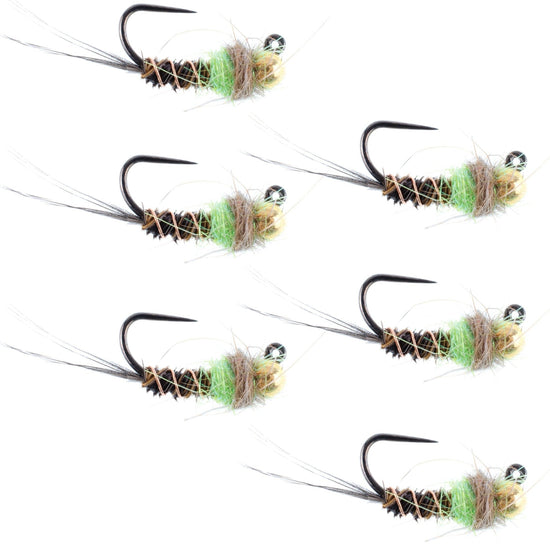 Tungsten Bead Hot Spot Pheasant Tail Tactical Jig Chartreuse Czech Nymph Euro Nymphing Fly - 6 Flies Size 12 - Hazy Fly Fishing