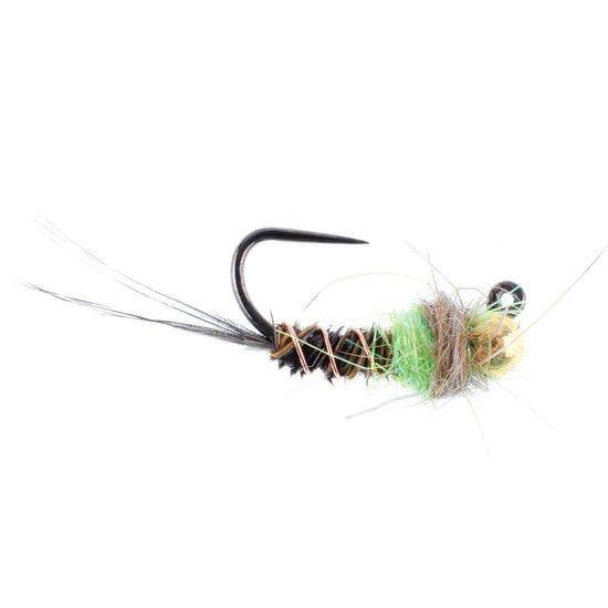 Tungsten Bead Hot Spot Pheasant Tail Tactical Jig Chartreuse Czech Nymph Euro Nymphing Fly - 6 Flies Size 12 - Hazy Fly Fishing