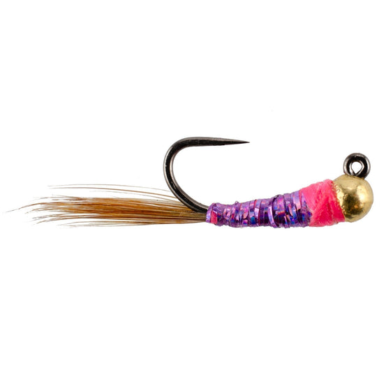 Tungsten Bead Hot Spot Purple Perdigon Tactical Jig Spanish Czech Euro Nymph Fly - 1 Dozen Flies Size 18 - Hazy Fly Fishing