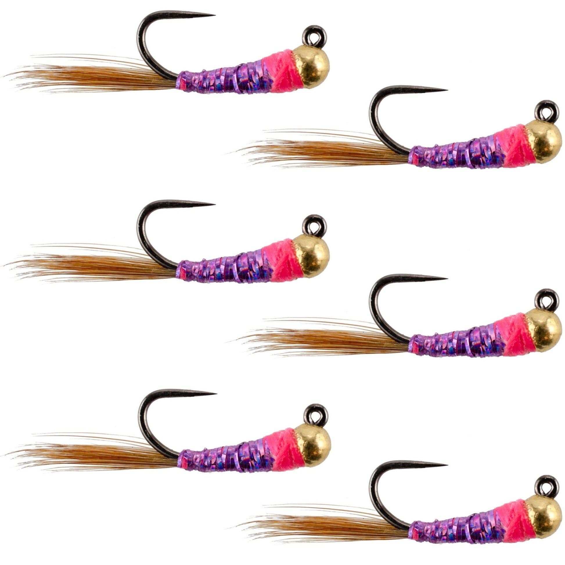 Tungsten Bead Hot Spot Purple Perdigon Tactical Jig Spanish Czech Euro Nymph Fly - 6 Flies Size 16 - Hazy Fly Fishing
