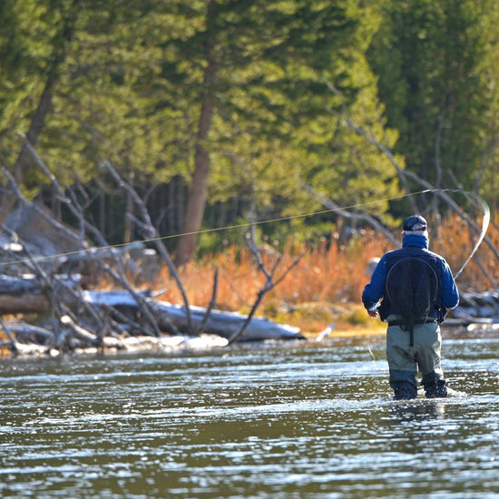 Tungsten Bead Hot Spot Purple Perdigon Tactical Jig Spanish Czech Euro Nymph Fly - 6 Flies Size 16 - Hazy Fly Fishing
