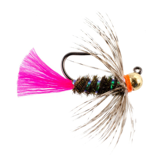 Tungsten Bead Jig Tactical Blow Torch Czech Nymph Euro Nymphing Fly - 1 Dozen Flies Size 10 - Hazy Fly Fishing