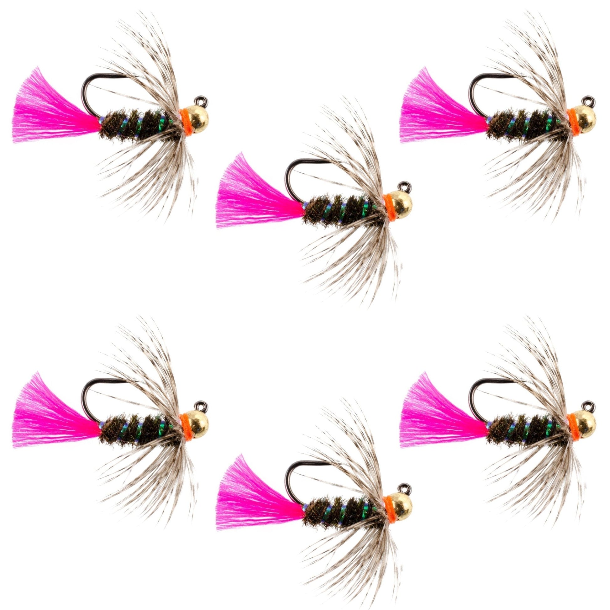 Tungsten Bead Jig Tactical Blow Torch Czech Nymph Euro Nymphing Fly - 6 Flies Size 12 - Hazy Fly Fishing