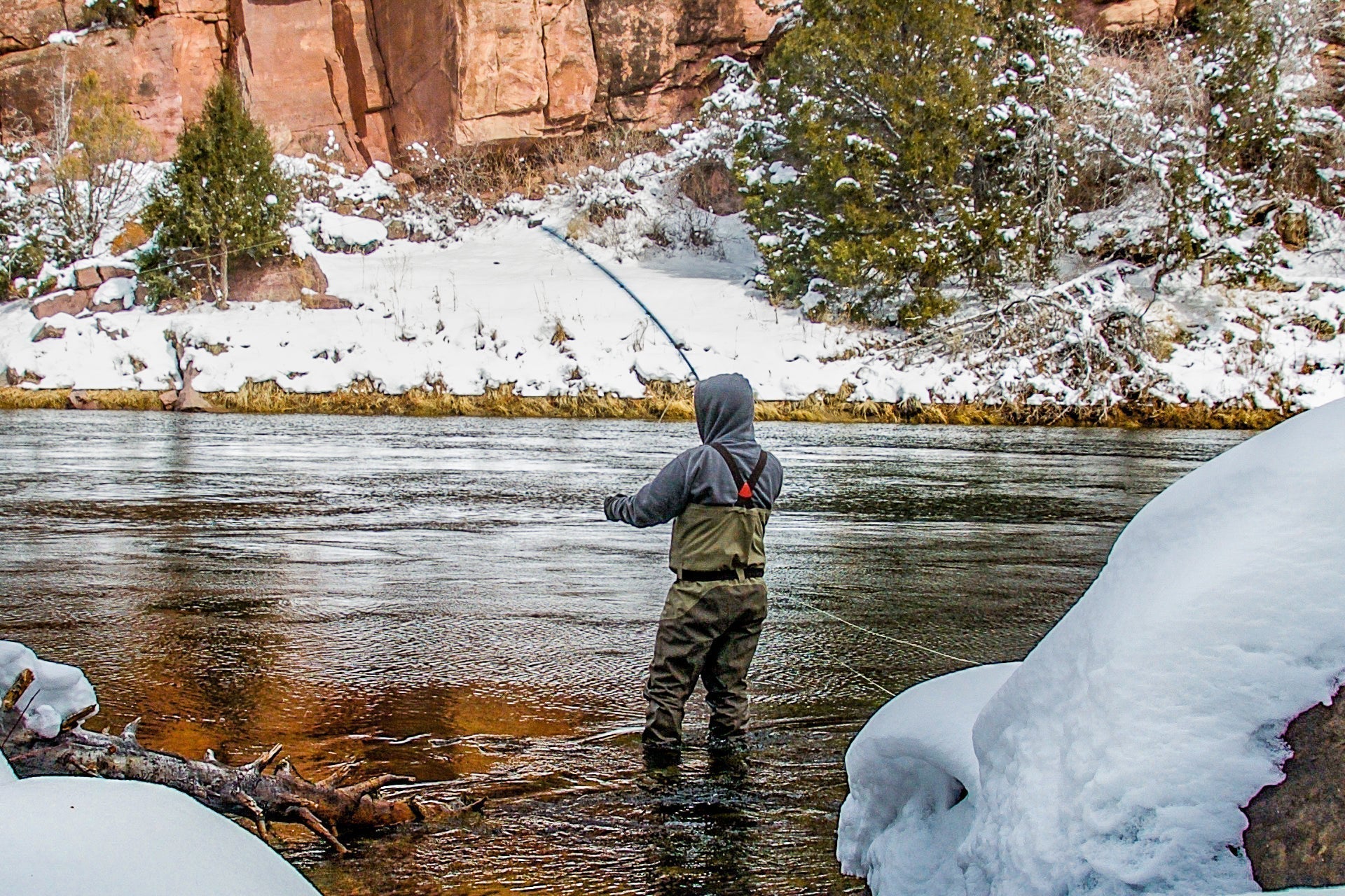 Tungsten Bead Jig Tasmanian Devil Tactical Czech Nymph Euro Nymphing Fly - 6 Flies Size 16 - Hazy Fly Fishing