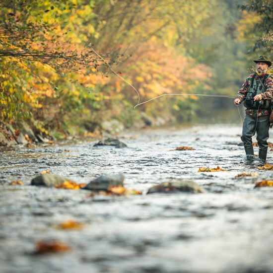 Tungsten Bead Kaufmann's Black Stone Fly with Rubber Legs - Stonefly Wet Fly - 6 Flies Hook Size 8 - Hazy Fly Fishing