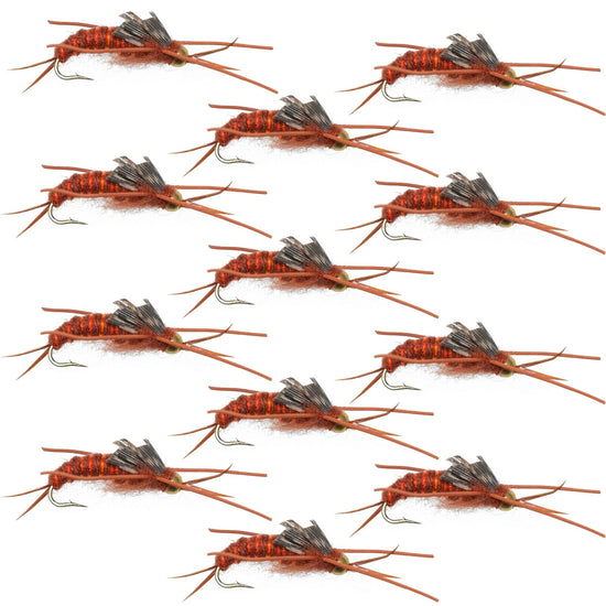 Tungsten Bead Kaufmann's Brown Stone Fly with Rubber Legs - Stonefly Wet Fly - 1 Dozen Flies Hook Size 6 - Hazy Fly Fishing