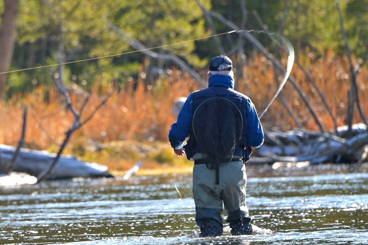 Tungsten Bead Kaufmann's Brown Stone Fly with Rubber Legs - Stonefly Wet Fly - 1 Dozen Flies Hook Size 6 - Hazy Fly Fishing
