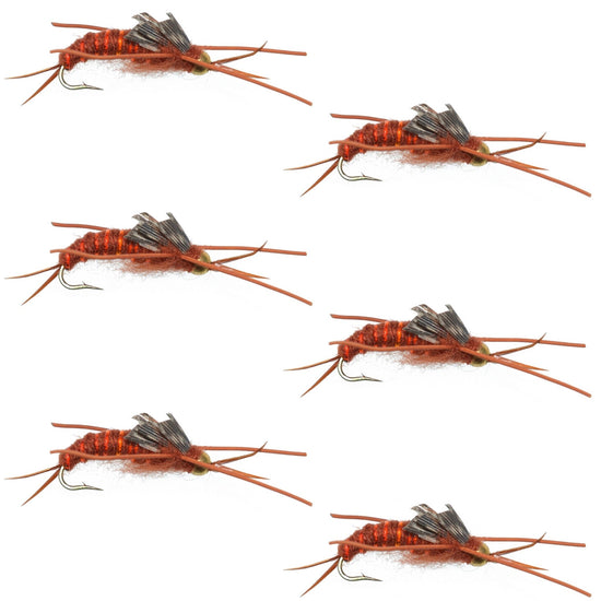Tungsten Bead Kaufmann's Brown Stone Fly with Rubber Legs - Stonefly Wet Fly - 6 Flies Hook Size 8 - Hazy Fly Fishing