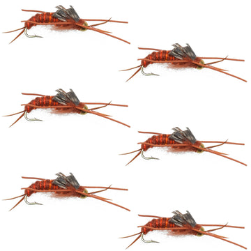 Tungsten Bead Kaufmann's Brown Stone Fly with Rubber Legs - Stonefly Wet Fly - 6 Flies Hook Size 8 - Hazy Fly Fishing