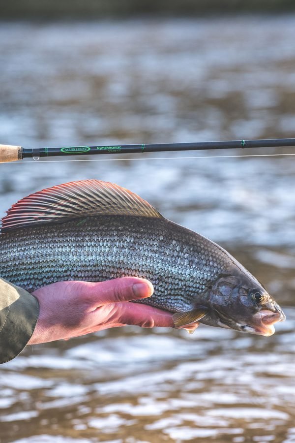 Vision NYMPHMANIAC Fly Rod 4 - Piece - Hazy Fly Fishing