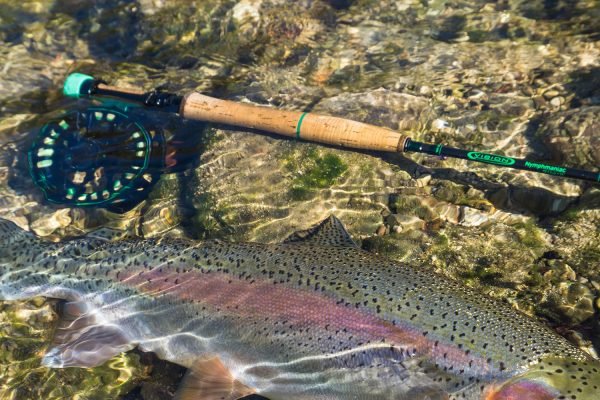 Vision NYMPHMANIAC Fly Rod 4 - Piece - Hazy Fly Fishing