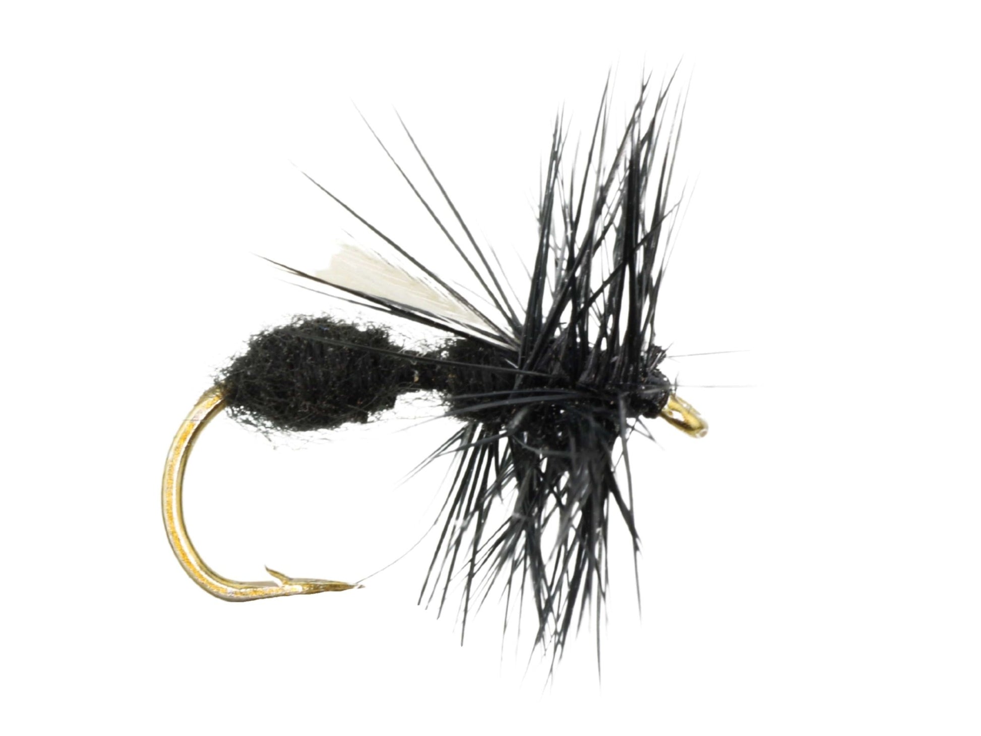 Winged Black Ant, Size 12 | Qty. 6 | Wild Water Fly Fishing - Hazy Fly Fishing