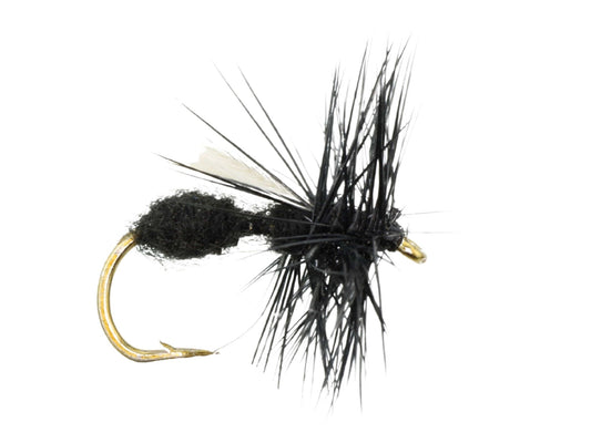 Winged Black Ant, Size 12 | Qty. 6 | Wild Water Fly Fishing - Hazy Fly Fishing