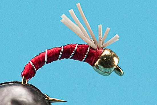 3 Dollar Dip - Beadhead - Hazy Fly Fishing