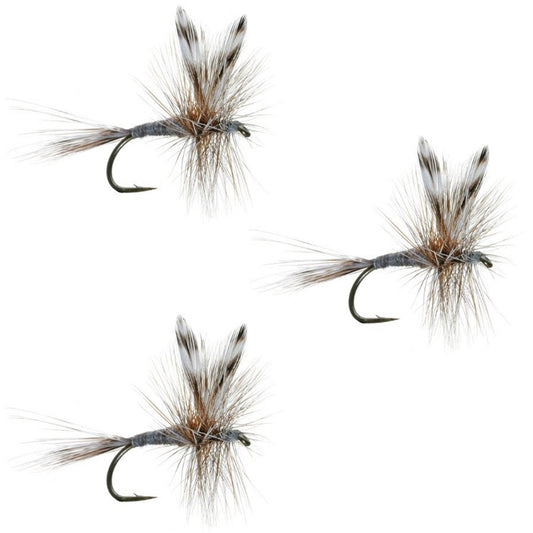 3 Pack Barbless Adams Classic Dry Fly - Hook Size 18 - Hazy Fly Fishing